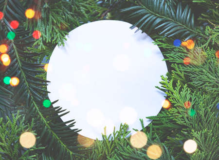 Holiday blank greeting card with winter leavesの写真素材