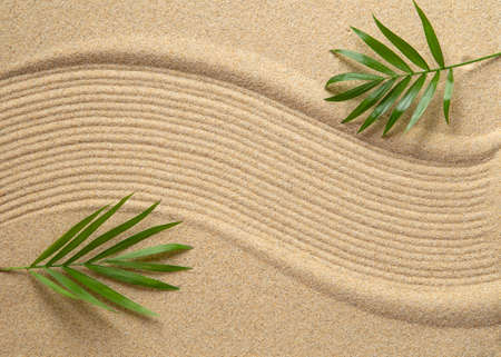 Zen garden with the palm leaves and a pattern in sand textureの写真素材