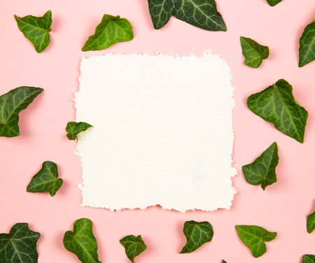 Craft paper blank note with the green leavesの写真素材