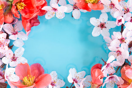 Spring floral frame composition with copy spaceの写真素材