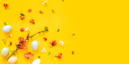 Easter background with colorful eggs and spring frowersの写真素材