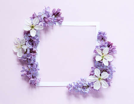 Spring flower composition with a white frameの写真素材