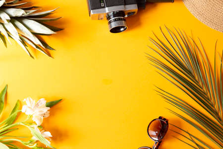 Summer background with a vintage cameraの写真素材