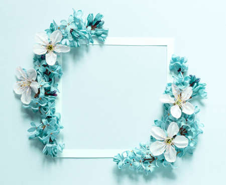 Floral composition with a white frameの写真素材