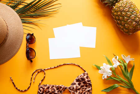 Summer background with the blank images
