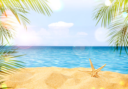Summer background with a starfish on sandの写真素材