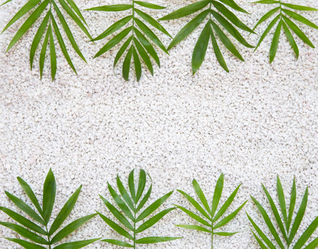 Zen pattern in white sand with palm leavesの写真素材
