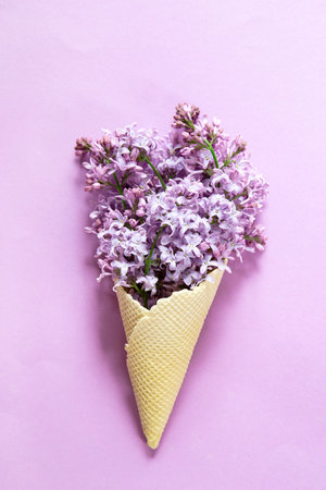 Lilac in an ice cream cone on pink backgroundの写真素材