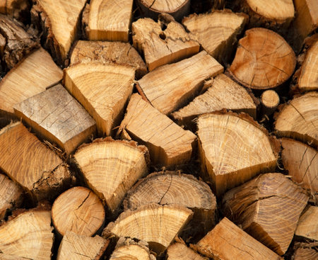 Pile of firewood close up