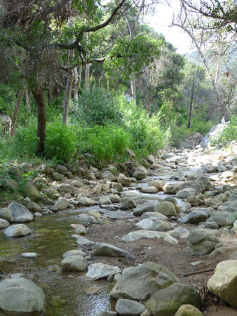 Peaceful Natureの写真素材