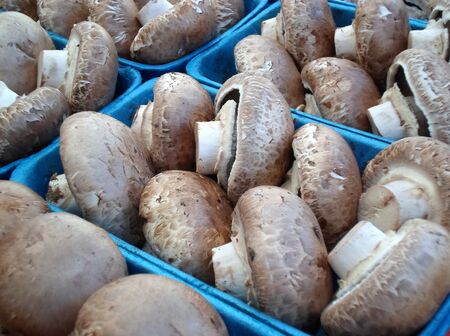 Mushroomsの写真素材