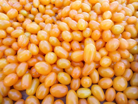 Cherry Tomatoesの写真素材