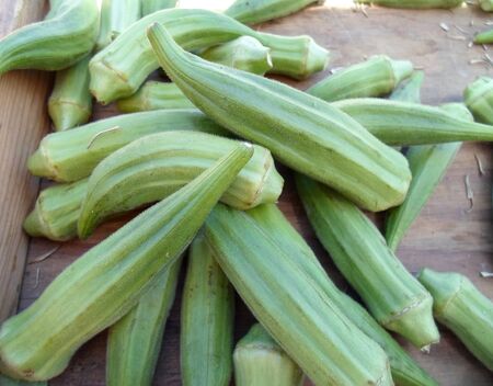 Fresh Okraの写真素材