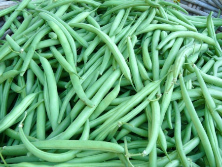 Fresh greeen beans