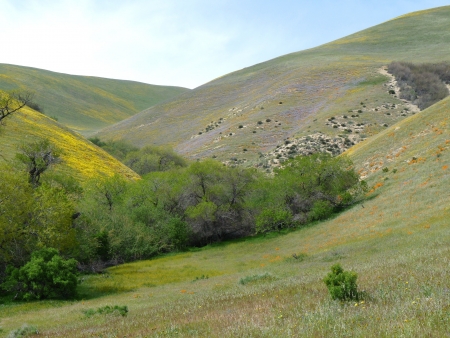 Spring has arrived with colors on the hillsの写真素材