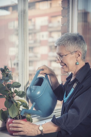 Old woman watering plants at her home, expressing gardeners loveの写真素材