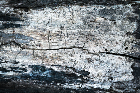 Dirty wood texture used for design and backgroundsの写真素材