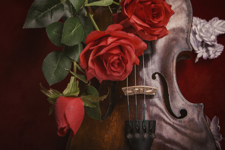 Romance and valentines day concept: old antique violin with lush red roses, on a dark red background