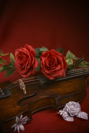 Romance and valentines day concept: old antique violin with lush red roses, on a dark red backgroundの写真素材