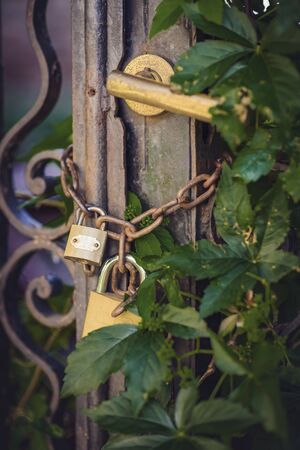 Two golden padlocks on a rusty chain guarding the entrance through an aged gate, closeup imageの写真素材