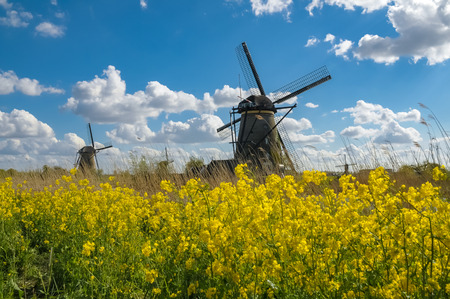 APRIL 2015, ROTTERDAM NETHERLANDS: Historic windmills near Rotterdam Netherlands