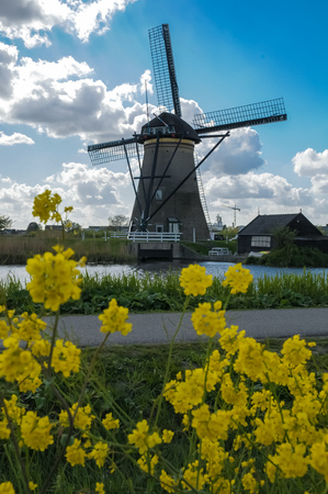 APRIL 2015, ROTTERDAM NETHERLANDS: Historic windmills near Rotterdam Netherlandsのeditorial素材