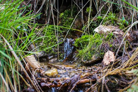 stream