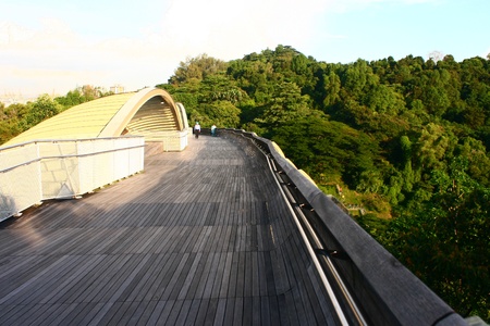 Henderson Wave Bridge,Southern Ridges Singapore, Hilltop walk tropic Rain forestのeditorial素材