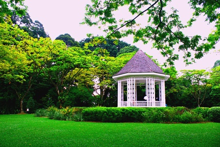 Botanic Garden Singapore ,Band stand, National Parkの写真素材