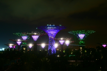 Super Tree ,Garden by the Bay, Singapore night Cityscapeのeditorial素材