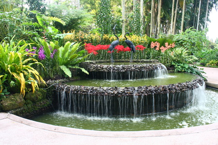 National Orchid Garden, Botanic Garden Singapore, water fountainの写真素材