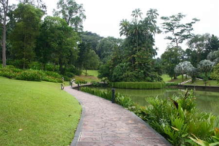 Botanic Garden の写真素材