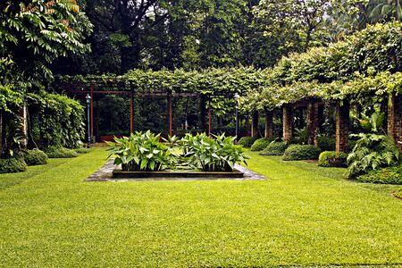 Nice Botanical Garden Green Parkの写真素材