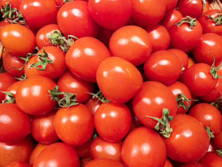 Background with fresh red and orange tomatoes with a green leg. Juicy vegetables from farmers.
