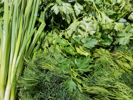 Dill greens, parsley and onions. Green bunches for seasoning for salads and food. Freshの写真素材