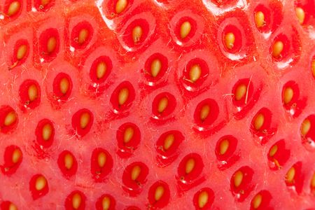 strawberry の写真素材