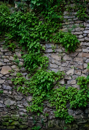 wallの写真素材