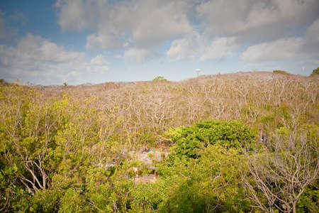 Coast of Indian ocean Bali, Indonesiaの写真素材