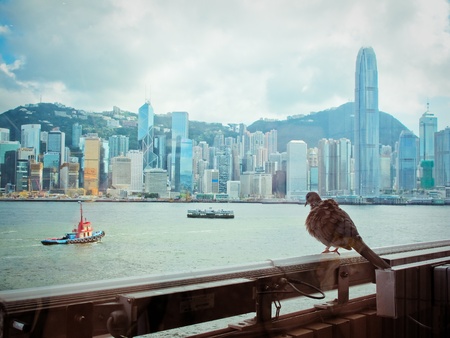 Hongkong skyline in victoria harbourのeditorial素材