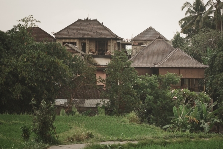 Rice Fields, Bali, Indonesiaの写真素材