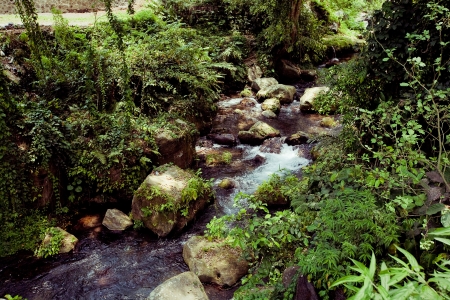 river in mountain