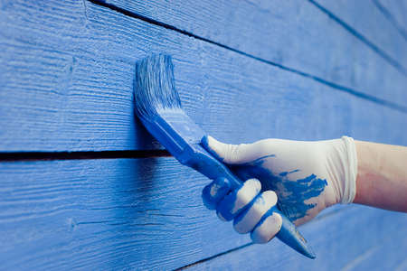 brush in handの写真素材
