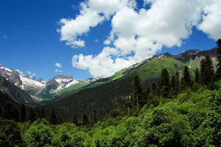 Caucasus Mountains  Region Dombay の写真素材