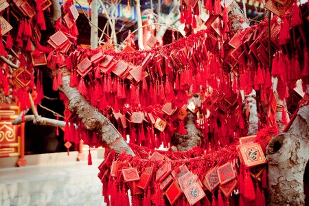 wish cards in a Buddhist temple in Beijing, Chinaの写真素材