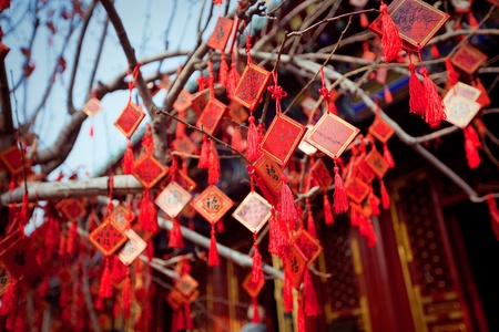 wish cards in a Buddhist temple in Beijing, Chinaの写真素材