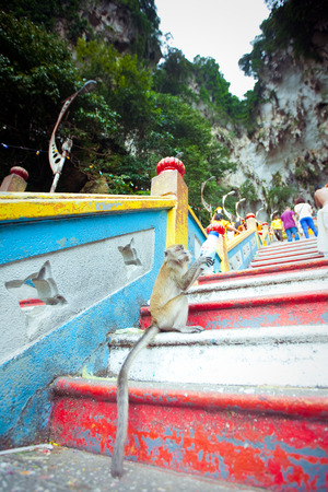 BATU CAVES, MALAYSIA - JAN 18 2014 : Thaipusam at Batu Caves temple, Malaysia on January 18, 2014. Thaipusam is a Hindu festival on the full moon in the Tamil month of Thai.のeditorial素材