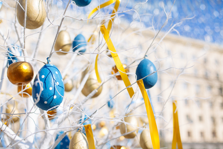 Easter eggs hanging  on tree branchesの写真素材