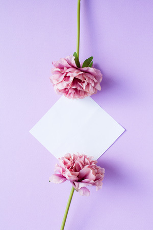 Mockup on violet background with white paper sheet and peony flowers, top view. Flat lay styleの写真素材