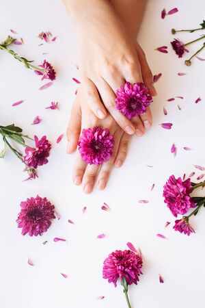 Close up photo of female hands with deep pink  flowers on white background. Natural cosmetic  beauty and skincare concept.の写真素材