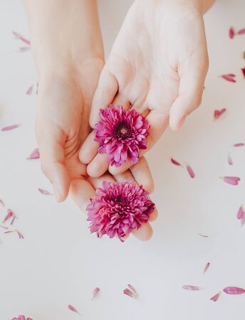 Close up photo of female hands with deep pink  flowers on white background. Natural cosmetic  beauty and skincare concept.の写真素材